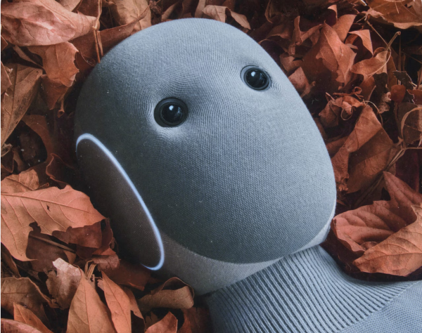 why I'm not even a little bit worried about a robot taking my job