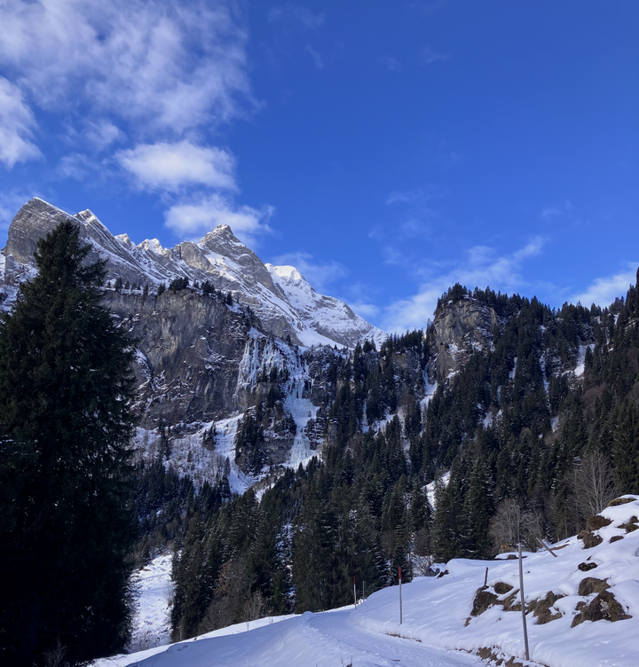 How to hire a cleaner (from a cleaner)